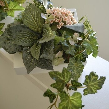 Interior Art flower&green S/Pの画像