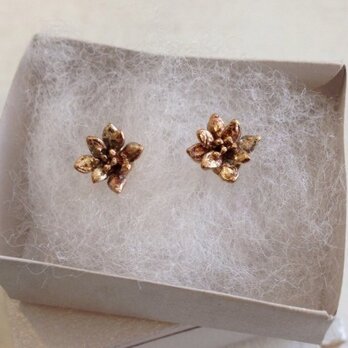 多肉植物的ピアスオーダー作品