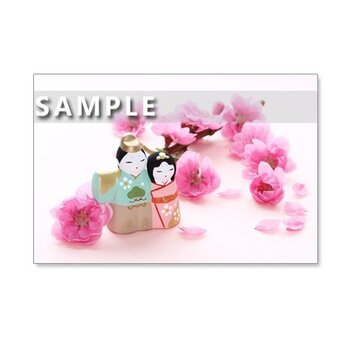1059）おひな様と春の花たち   Postcard 5枚組　の画像