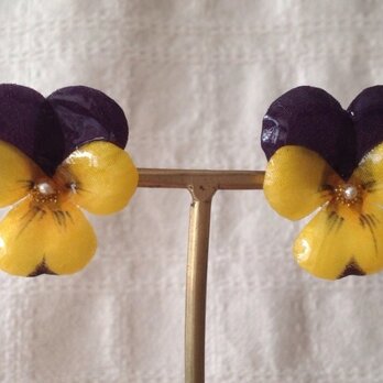 染め花を樹脂加工したビオラピアス( M・紫黄色)の画像
