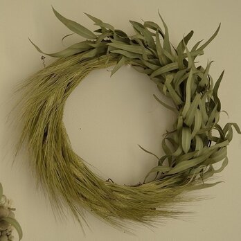 Dried flower wreath (L)の画像