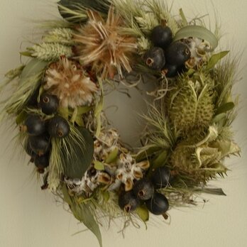 Dried flower wreath (S)の画像