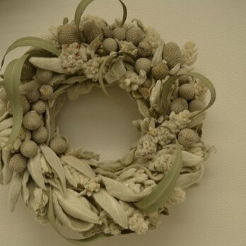 Dried flower wreath (S)の画像