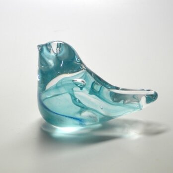 ターコイズブルーの小鳥