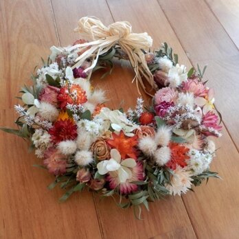 再販　春を待つ　22センチ