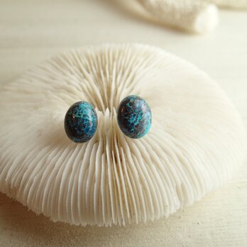 アースピアス【14kgf】