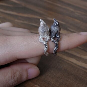 むくむく指乗りオカメ