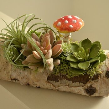 new Forest （ボート)きのこ