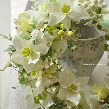 【sold】Eucharis　：White　Wreath　　の画像