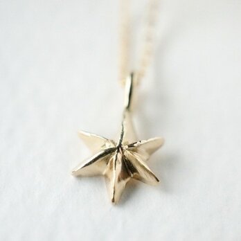 K10 Star Necklaceの画像