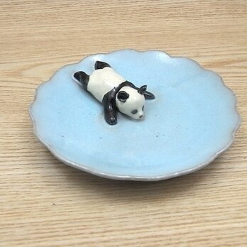 水青爆睡大熊猫輪花小皿−C