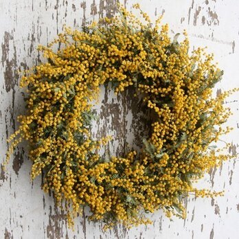 ミモザとピンクの春待ちスワッグ　ミランドールミモザ　スターチス　グレビレア　春 ミモザとピンクの春待ちスワッグ ミランドールミモザ スターチス