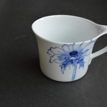 ア ネ モ ネ　アメリカンカップ