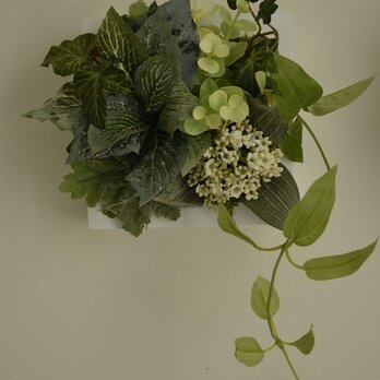 Interior Art flower&green S/Wの画像