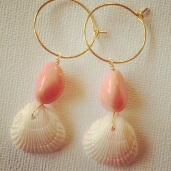 shell＊coralの画像