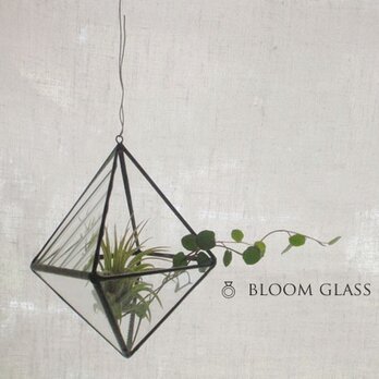 ステンドグラスのテラリウム：ひし形