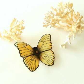 蝶のクリップ（モルフォ 大）の画像