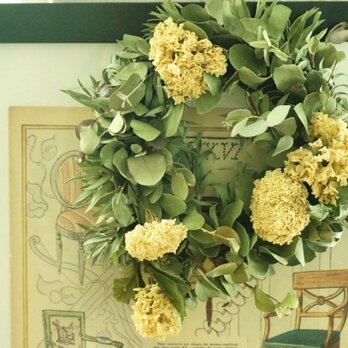 ユーカリ　大テマリ　wreathの画像