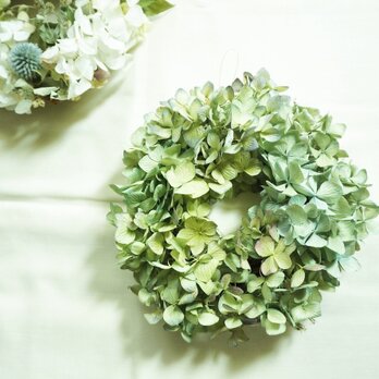 秋色紫陽花　wreathの画像