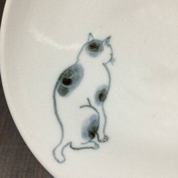 染付5寸猫皿 33の画像