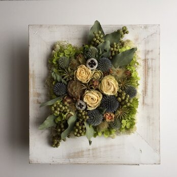 Frame Flower-H5
