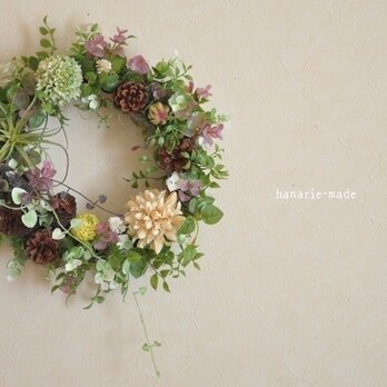 【sold】スマイラックス・チスパ：wreathの画像