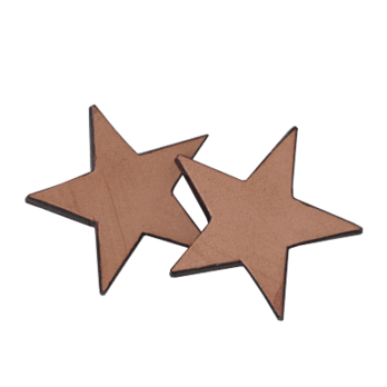 LEATHER EARRINGS (star-M)の画像