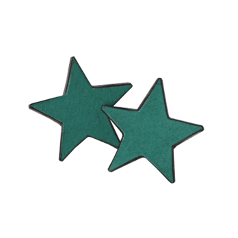 LEATHER EARRINGS (star-S)の画像