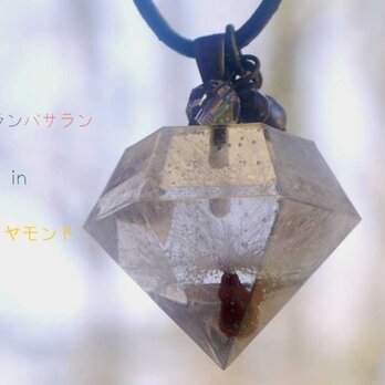 ケサランパサランin diamondの画像