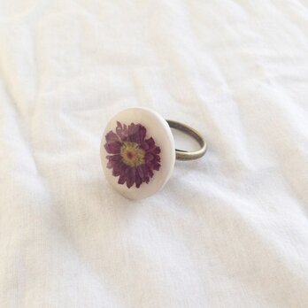 【SALE 】マム・リング