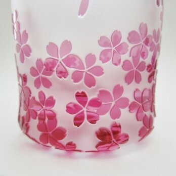 春風と桜のグラスの画像