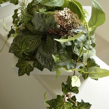 Interior Art flower&green M/Pの画像