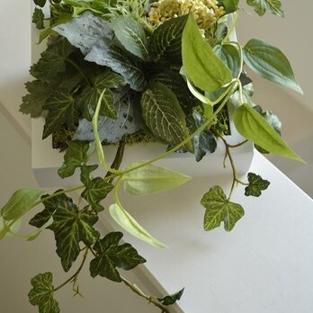 Interior Art flower&green M/Yの画像