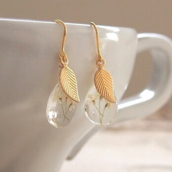 　tear drop なみだのしずくピアス