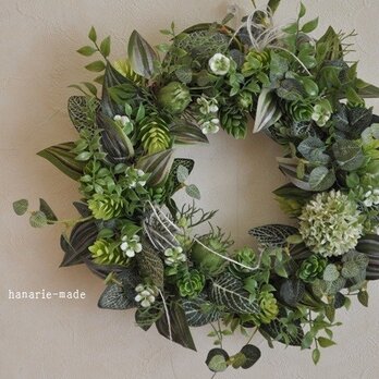 【sold】stoic　green  ：wreath　の画像
