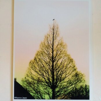 『木と鳥と』　うぐいす　A4パネルの画像