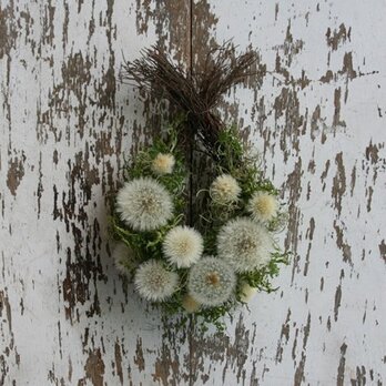 タンポポとシダのティアドロップリース