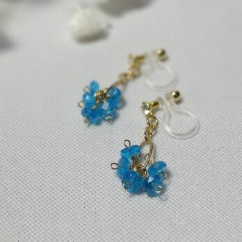 《Petit Fleur》ネオンブルーアパタイトのイヤリングの画像