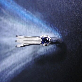 2061年の約束　sapphireの画像