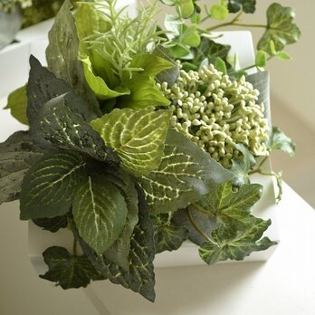 Interior Art flower&green S/Gの画像