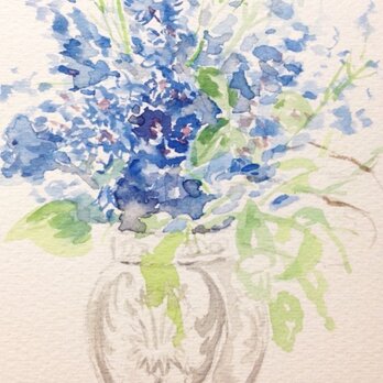 「elegant flower Delphinium」の画像