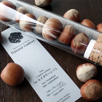Seed mania bottle “Hazelnut”の画像