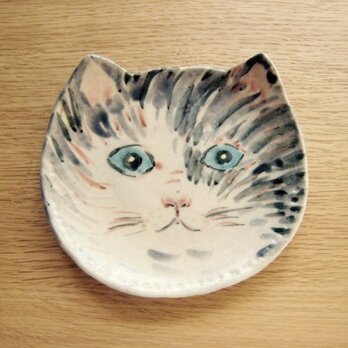 ねこ皿 キジトラブルー
