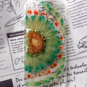 夏新作 iPhone6押し花ケース