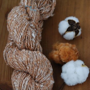 自家栽培コットンの手紡ぎ糸の画像