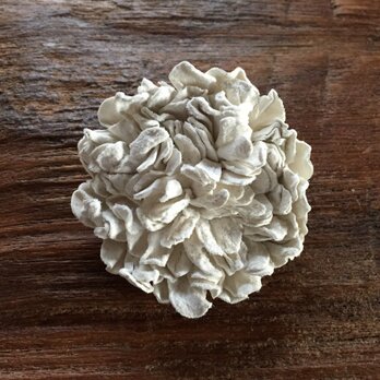 革花のカブトピン LSP 金具6cm 白の画像