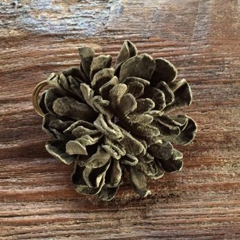 革花のカブトピン L 金具6cm オリーブの画像