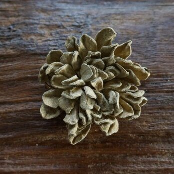 革花のカブトピン L 金具6cm ベージュの画像