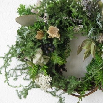 summer green wreathの画像