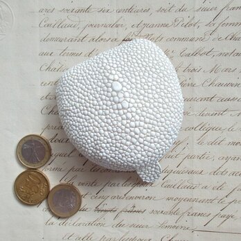 【受注製作】ポルタモネーテ/スティングレイ, White